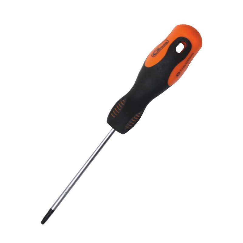 Skrūvgriezis TORX T40x100mm Richmann